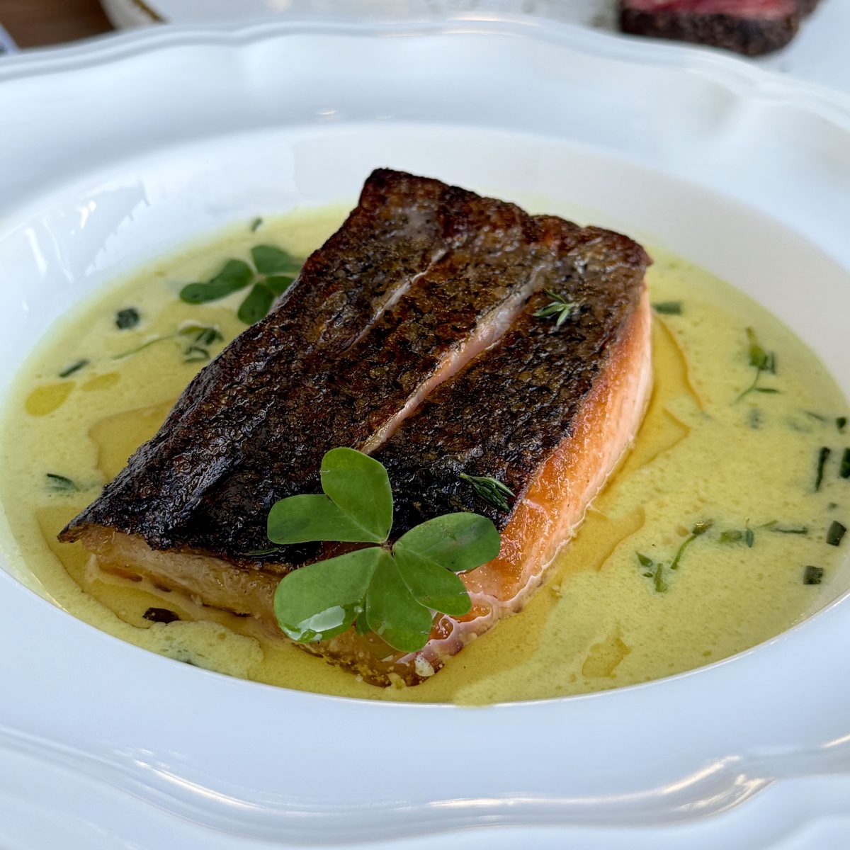 Chilean Salmon
